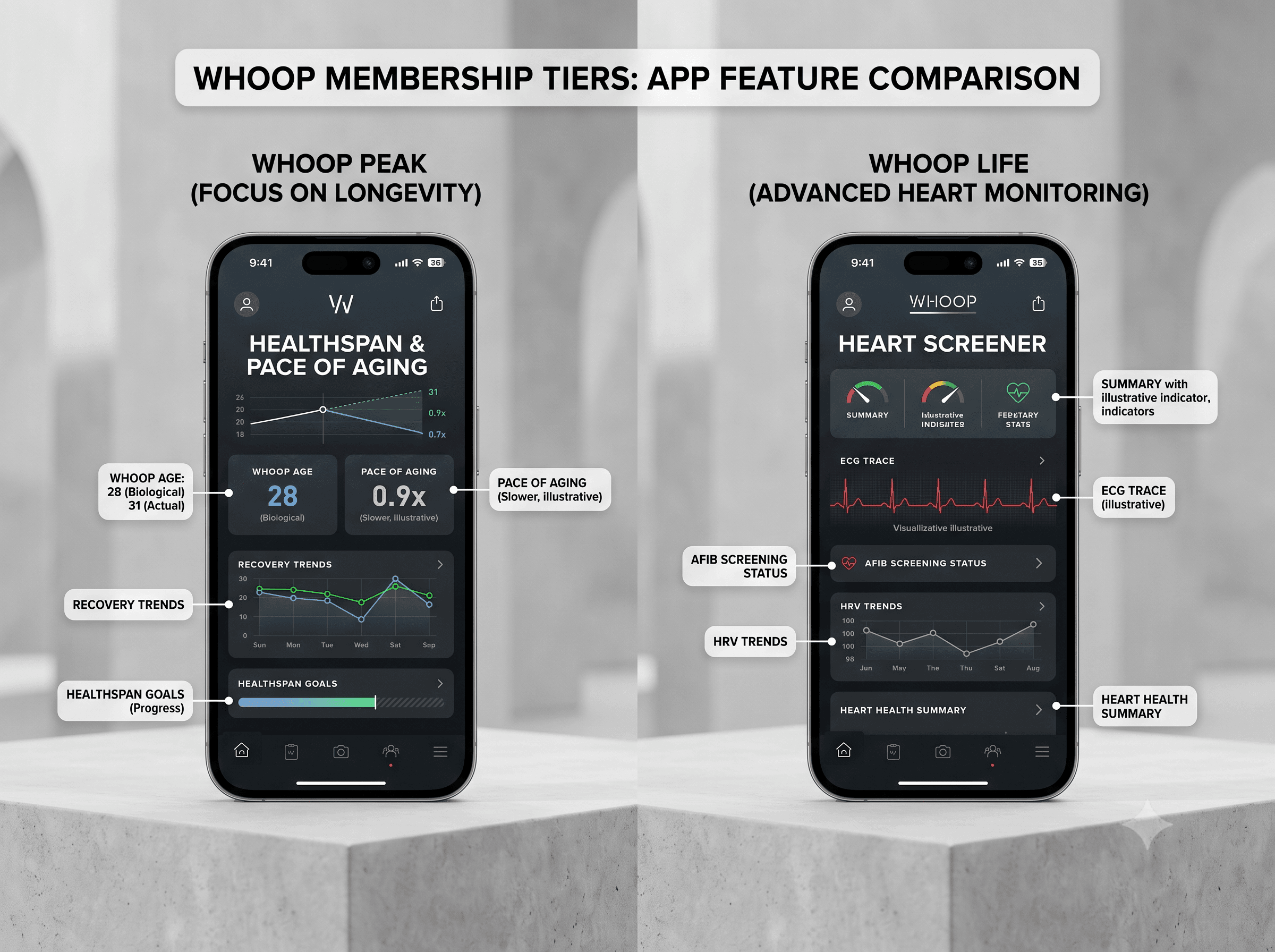 WHOOP app screens showing recovery, Healthspan and heart screener readings
